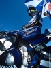 Buckmaster-Down-Under_Sears-web