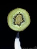 kiwi-balance