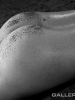 justine_s_101009-097web