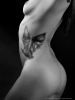 tm_011012-178_web750